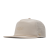 Bone